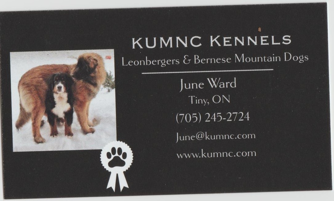 The Bernese Mountain Dog Club of Ontario The Breeder's List